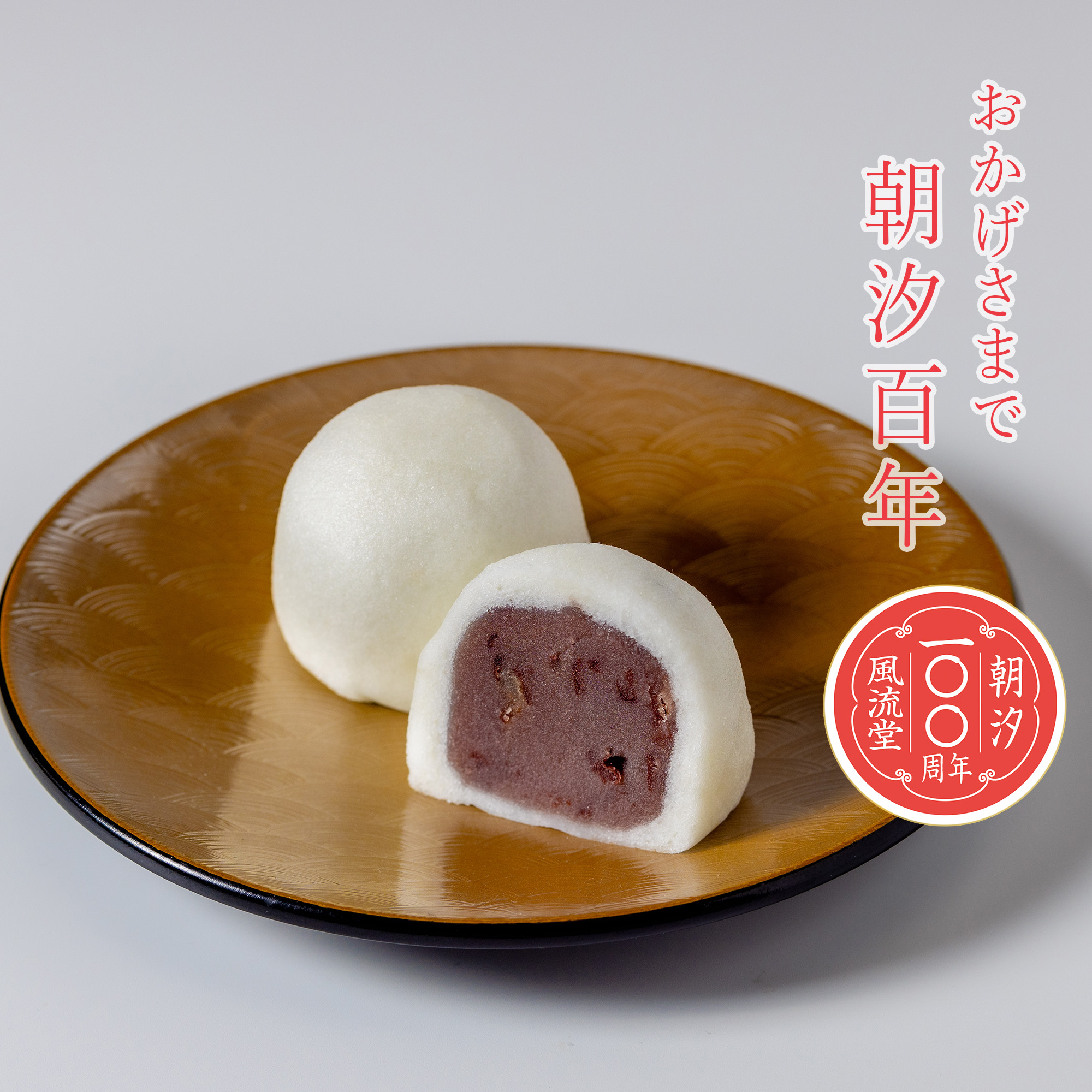 朝汐100年 朝汐100年